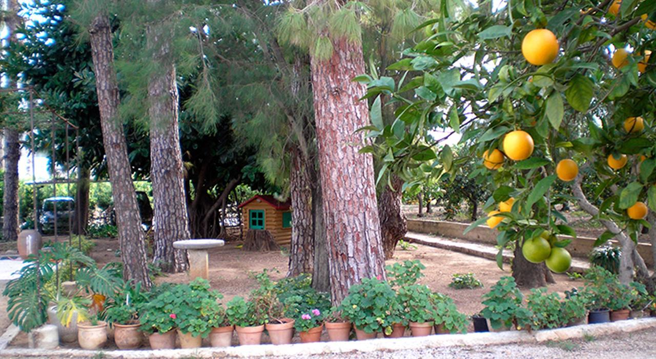 El Sequer Casa Rural أوليفا المظهر الخارجي الصورة